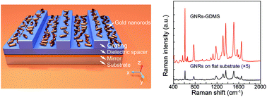 Graphical abstract: Surface-enhanced Raman scattering induced by the coupling of the guided mode with localized surface plasmon resonances