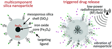 Graphical abstract: Delivery of drugs into brain tumors using multicomponent silica nanoparticles