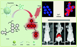 Graphical abstract: The release and detection of copper ions from ultrasmall theranostic Cu2−xSe nanoparticles