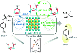 Graphical abstract: Discovery of precise pH-controlled biomimetic catalysts: defective zirconium metal–organic frameworks as alkaline phosphatase mimics