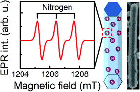 Graphical abstract: Identification of a Nitrogen-related acceptor in ZnO nanowires