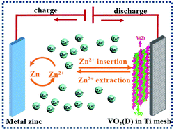 Graphical abstract: Monoclinic VO2(D) hollow nanospheres with super-long cycle life for aqueous zinc ion batteries