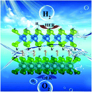 Graphical abstract: Spontaneous full photocatalytic water splitting on 2D MoSe2/SnSe2 and WSe2/SnSe2 vdW heterostructures