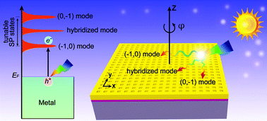 Graphical abstract: Tunable surface plasmon polaritons and ultrafast dynamics in 2D nanohole arrays