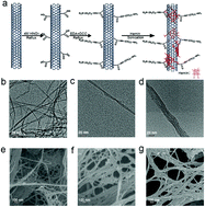 Graphical abstract: Biomimetic design for enhancing the peroxidase mimicking activity of hemin