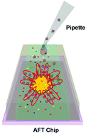 Graphical abstract: Trapping of sub-100 nm nanoparticles using gigahertz acoustofluidic tweezers for biosensing applications