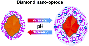 Graphical abstract: Diamond nano-optode for fluorescent measurements of pH and temperature