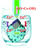 Graphical abstract: The mechanistic role of a support–catalyst interface in electrocatalytic water reduction by Co3O4 supported nanocarbon florets