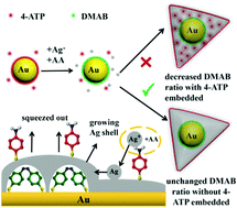 Graphical abstract: Aromatic thiol-modulated Ag overgrowth on gold nanoparticles: tracking the thiol's position in the core–shell nanoparticles