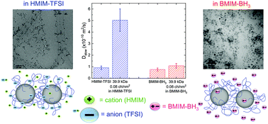 Graphical abstract: Dynamics of ionic liquids in the presence of polymer-grafted nanoparticles