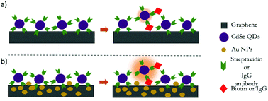 Graphical abstract: Analyte-induced disruption of luminescence quenching (AIDLuQ) for femtomolar detection of biomarkers