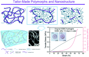 Graphical abstract: A strategy of tailoring polymorphs and nanostructures to construct self-reinforced nonswelling high-strength bacterial cellulose hydrogels