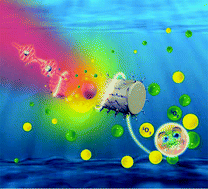 Graphical abstract: Water-soluble chiral CdSe/CdS dot/rod nanocrystals for two-photon fluorescence lifetime imaging and photodynamic therapy