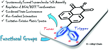 Graphical abstract: Functional group engineering in naphthalimides: a conceptual insight to fine-tune the supramolecular self-assembly and condensed state luminescence