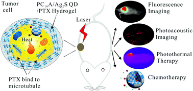 Graphical abstract: An injectable hybrid hydrogel based on a genetically engineered polypeptide for second near-infrared fluorescence/photoacoustic imaging-monitored sustained chemo-photothermal therapy
