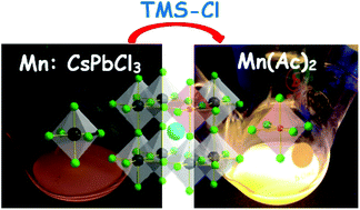 Graphical abstract: Chlorine-additive-promoted incorporation of Mn2+ dopants into CsPbCl3 perovskite nanocrystals