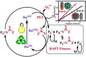 Graphical abstract: Robust hollow nanocomposites with ruthenium–bipyridine complexes for heterogeneous catalysis of logic-controlled RAFT polymerization