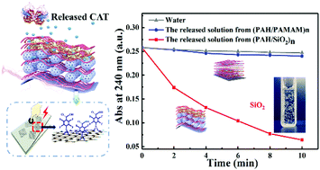 Graphical abstract: A self-powered delivery substrate boosts active enzyme delivery in response to human movements