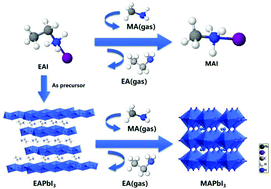 Graphical abstract: Cation substitution enables the complete conversion of 1D perovskites to 3D perovskites for photovoltaic application