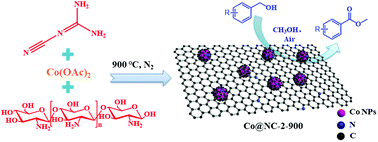 Graphical abstract: Renewable chitosan-derived cobalt@N-doped porous carbon for efficient aerobic esterification of alcohols under air