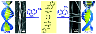 Graphical abstract: Achiral isomers controlled circularly polarized luminescence in supramolecular hydrogels