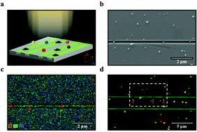 Graphical abstract: Trapping and filtering of light by single Si nanospheres in a GaAs nanocavity
