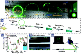 Graphical abstract: Green/red pulsed vortex-beam oscillations in all-fiber lasers with visible-resonance gold nanorods