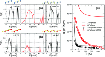 Graphical abstract: Phonon transport across crystal-phase interfaces and twin boundaries in semiconducting nanowires