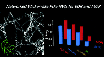 Graphical abstract: Novel networked wicker-like PtFe nanowires with branch-rich exteriors for efficient electrocatalysis