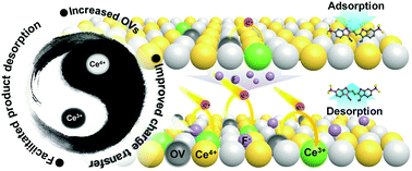 Graphical abstract: Fluoride-capped nanoceria as a highly efficient oxidase-mimicking nanozyme: inhibiting product adsorption and increasing oxygen vacancies