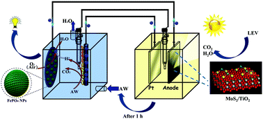 Graphical abstract: Boosting interfacial charge transfer and electricity generation for levofloxacin elimination in a self-driven bio-driven photoelectrocatalytic system