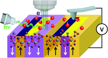 Graphical abstract: Surface charged species and electrochemistry of ferroelectric thin films