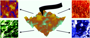 Graphical abstract: Nanoscale morphology, tribology and electrical properties of polyaniline/graphene oxide/LAPONITE® composites investigated using atomic force microscopy