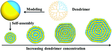 Graphical abstract: Enthalpy-driven self-assembly of amphiphilic Janus dendrimers into onion-like vesicles: a Janus particle model