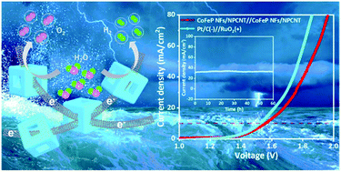 Graphical abstract: 3D hollow Co–Fe–P nanoframes immobilized on N,P-doped CNT as an efficient electrocatalyst for overall water splitting