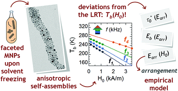 Graphical abstract: Anisotropic self-assemblies of magnetic nanoparticles: experimental evidence of low-field deviation from the linear response theory and empirical model