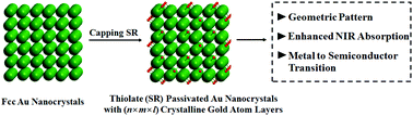 Graphical abstract: Effect of thiolate-ligand passivation on the electronic structure and optical absorption properties of ultrathin one and two-dimensional gold nanocrystals