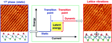 Graphical abstract: Novel polymorphic phase of two-dimensional VSe2: the 1T′ structure and its lattice dynamics