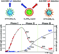 Graphical abstract: Viral antigen nanoparticles for discriminated and quantitative detection of different subtypes of anti-virus immunoglobulins