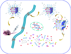 Graphical abstract: A γ-cyclodextrin-based metal–organic framework embedded with graphene quantum dots and modified with PEGMA via SI-ATRP for anticancer drug delivery and therapy