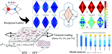 Graphical abstract: Modulated thermal conductivity of 2D hexagonal boron arsenide: a strain engineering study