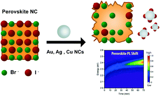 Graphical abstract: Understanding the mechanism of metal-induced degradation in perovskite nanocrystals