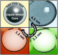 Graphical abstract: Chemically modifying the mechanical properties of core–shell liquid metal nanoparticles