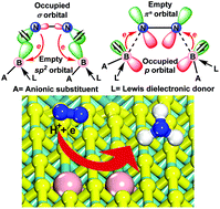 Graphical abstract: A di-boron pair doped MoS2 (B2@MoS2) single-layer shows superior catalytic performance for electrochemical nitrogen activation and reduction