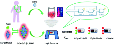 Graphical abstract: A point-of-care diagnostics logic detector based on glucose oxidase immobilized lanthanide functionalized metal–organic frameworks