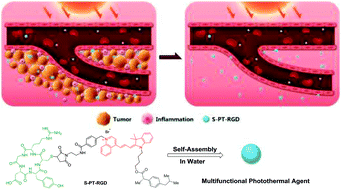 Graphical abstract: A self-assembly of an active tumor-targeted photothermal agent for enhanced anti-inflammatory cancer therapy