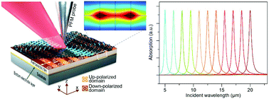 Graphical abstract: Simulation of tuning graphene plasmonic behaviors by ferroelectric domains for self-driven infrared photodetector applications