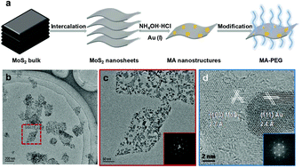 Graphical abstract: Controllable growth of Au nanostructures onto MoS2 nanosheets for dual-modal imaging and photothermal–radiation combined therapy