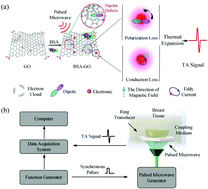Graphical abstract: Increasing dielectric loss of a graphene oxide nanoparticle to enhance the microwave thermoacoustic imaging contrast of breast tumor