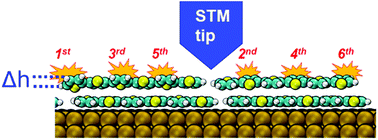 Graphical abstract: From flat to tilted: gradual interfaces in organic thin film growth